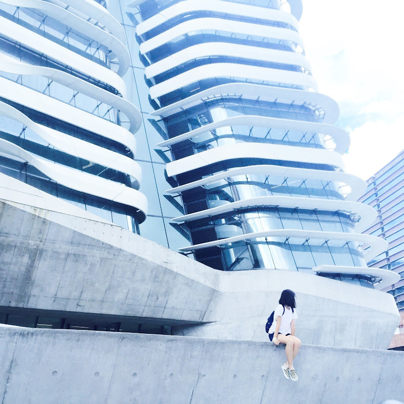 Hiuxxchingg WHC - 網紅的藏寶箱 