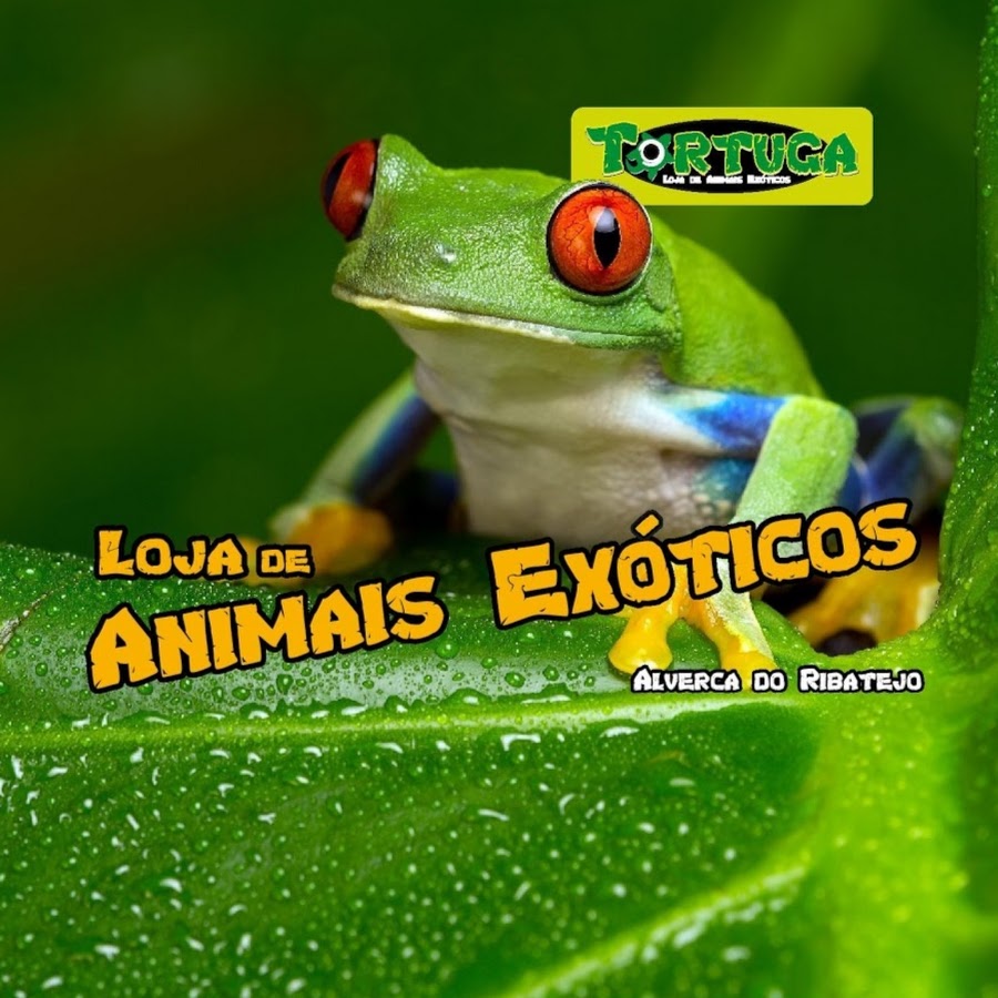 Tortuga PetShop - Animais ExÃ³ticos Avatar channel YouTube 