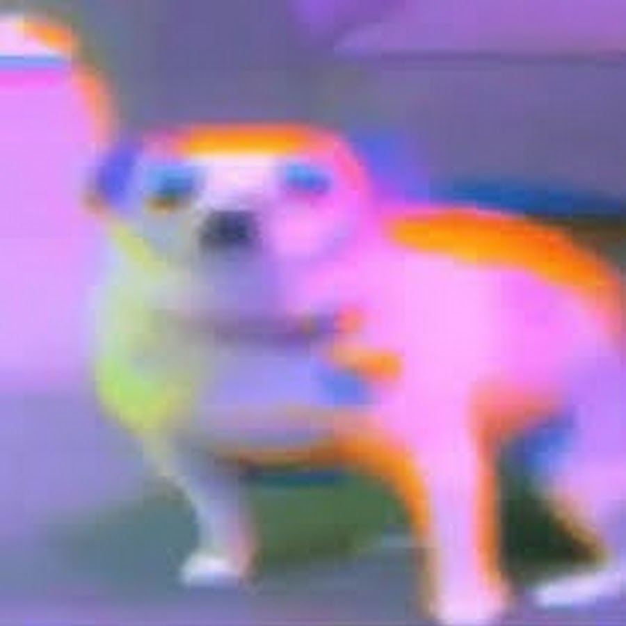 DiscoDoggo YouTube 频道头像