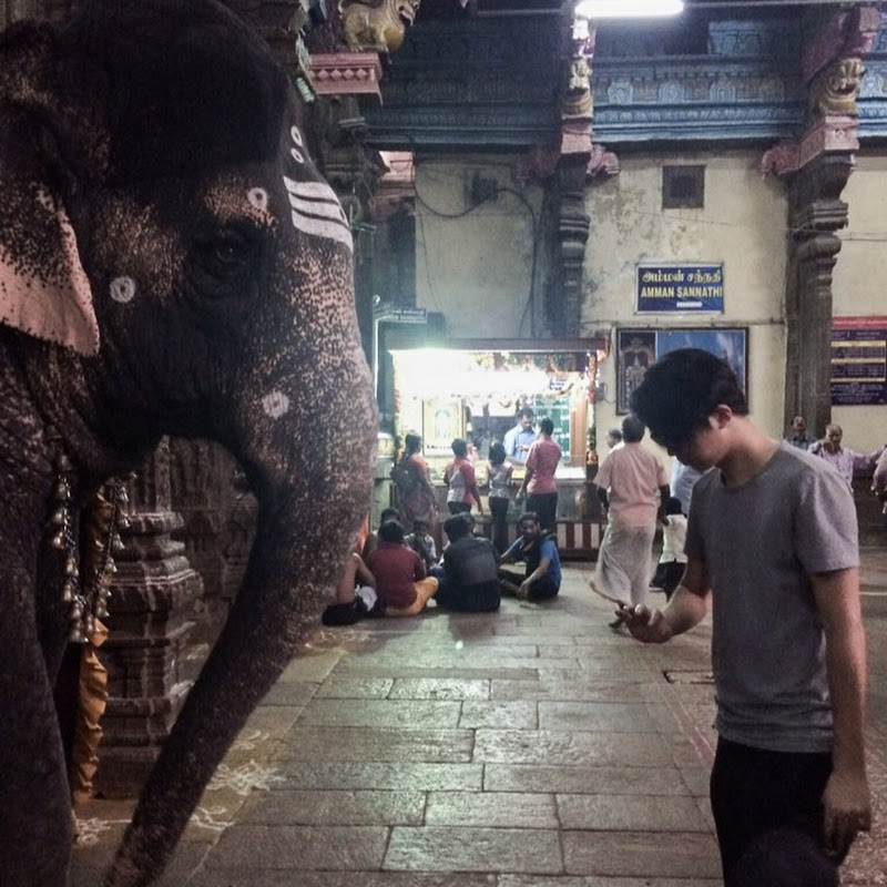 艾德探險日誌 - 網紅的藏寶箱 