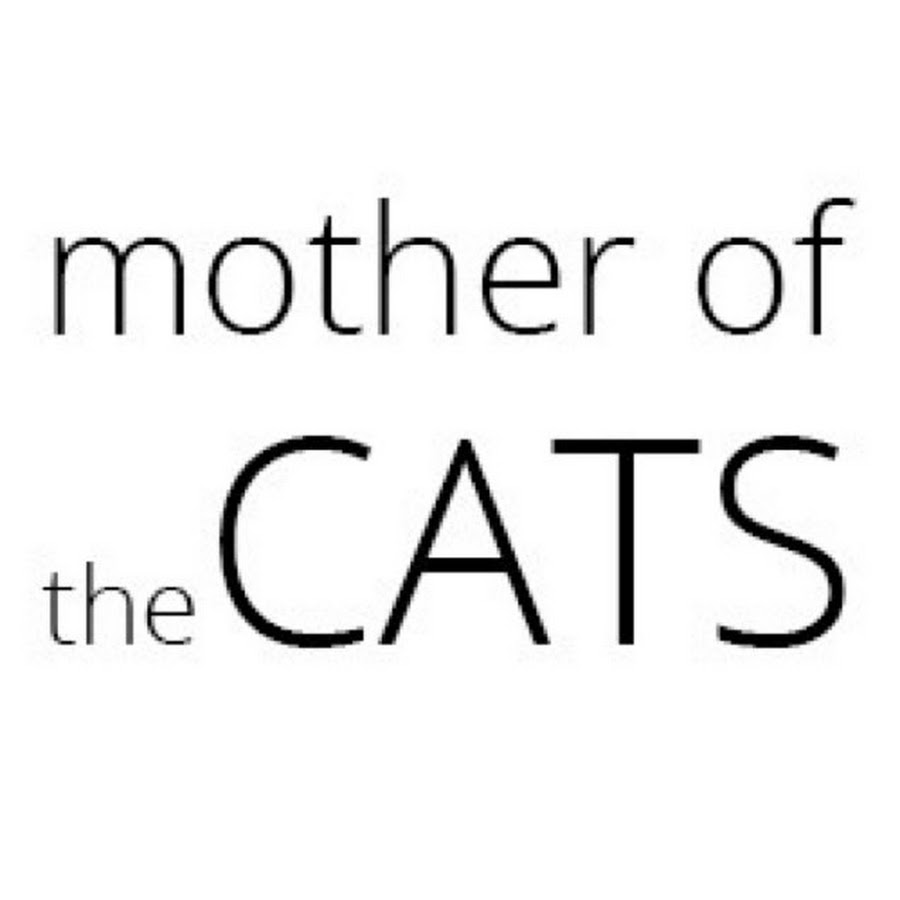 mother of the cats यूट्यूब चैनल अवतार
