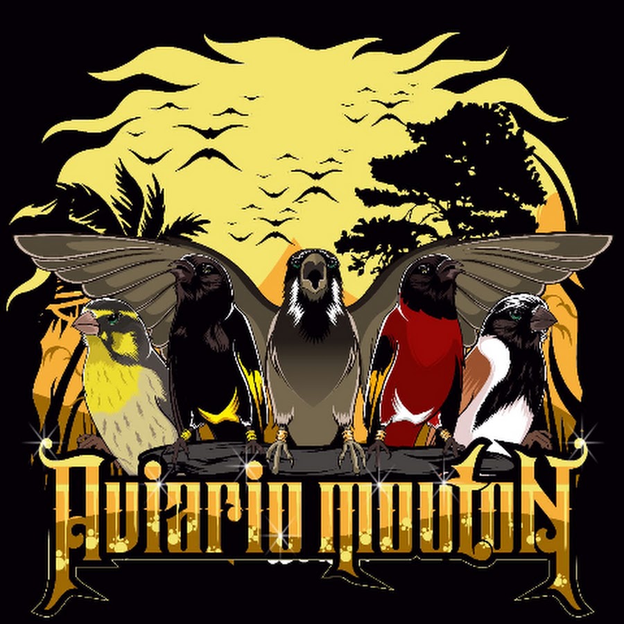 Aviario RubÃ©n MoutÃ³n YouTube channel avatar