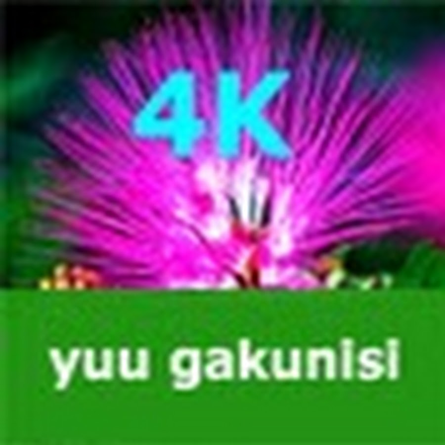 yuu gakunisi Avatar de chaîne YouTube