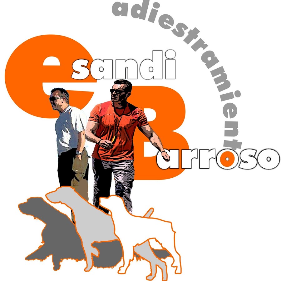 Adiestramiento de Perros de Caza Esandi y Barroso Avatar channel YouTube 
