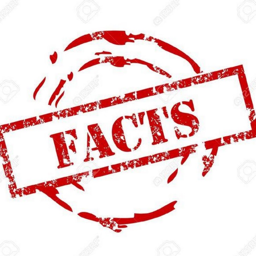 The Facts YouTube channel avatar