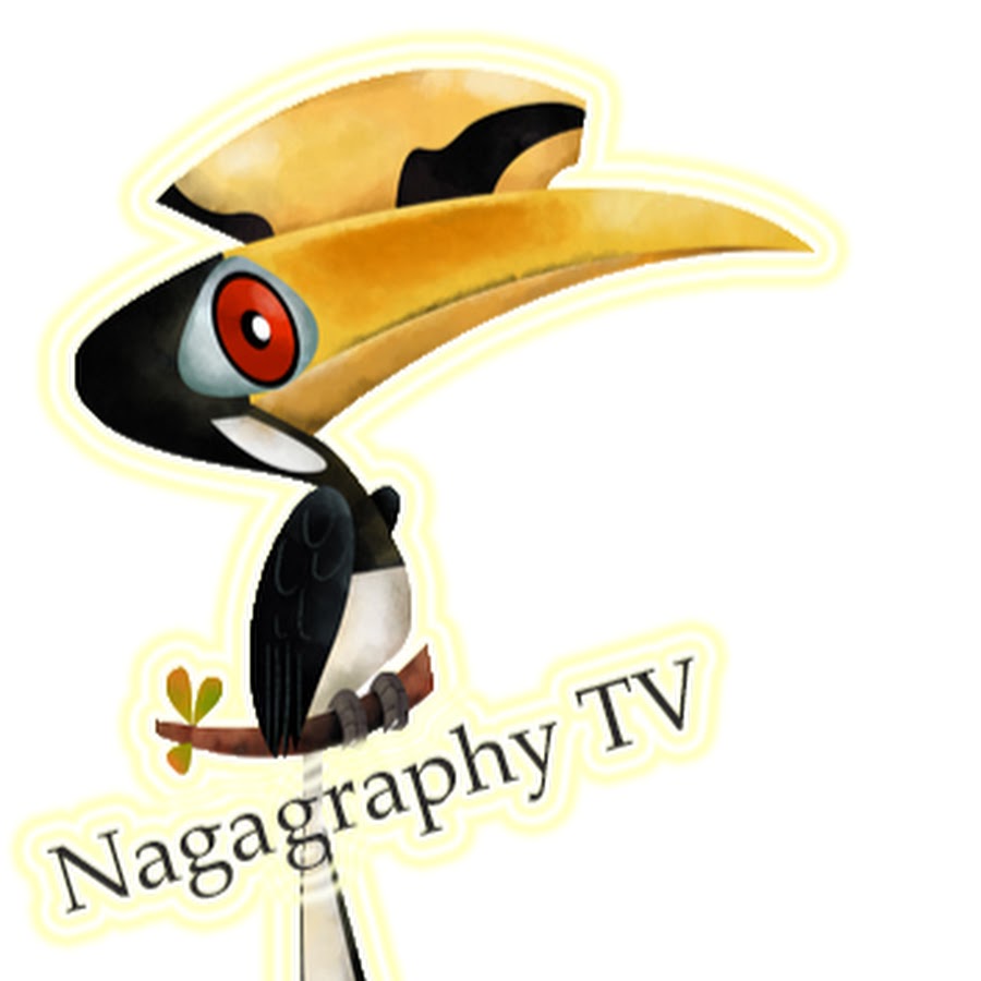 Nagagraphy TV Avatar canale YouTube 