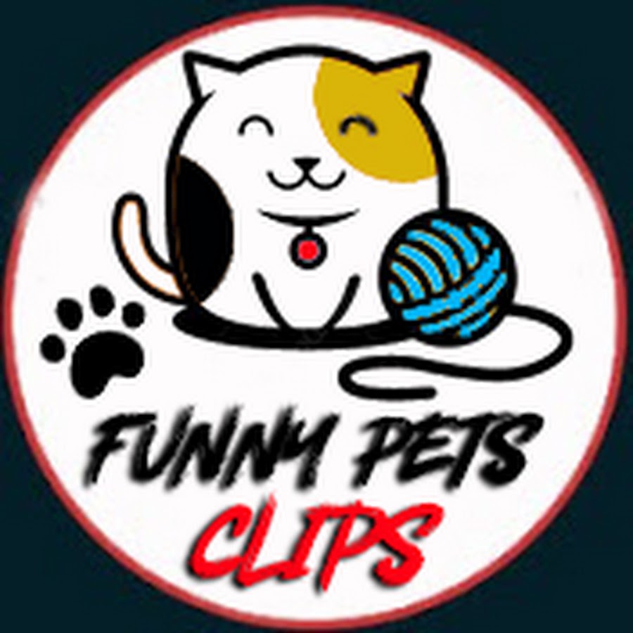Funny Pets Clips