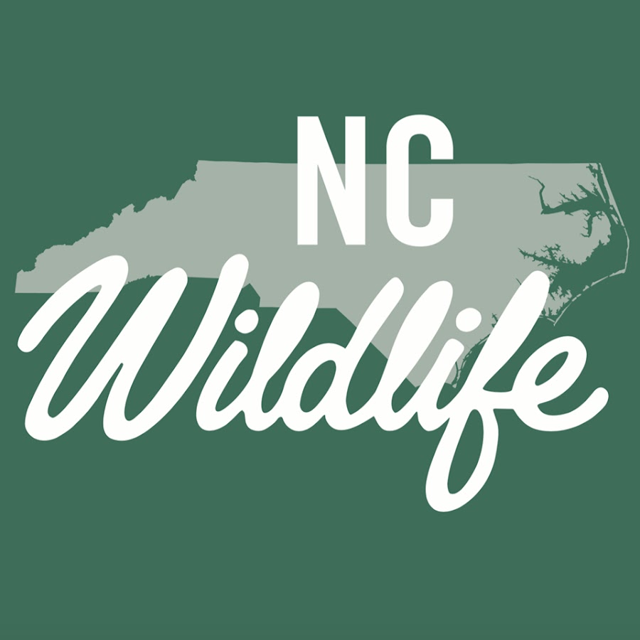 N.C. Wildlife Resources Commission YouTube channel avatar