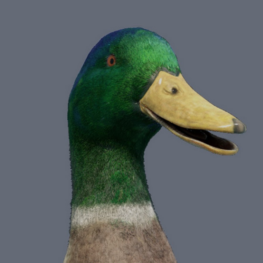 Derpy Duck Animation YouTube channel avatar
