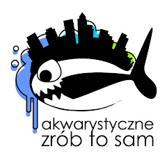 AkwarystyczneZróbToSam