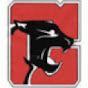 Geneva Varsity Hockey YouTube Profile Photo