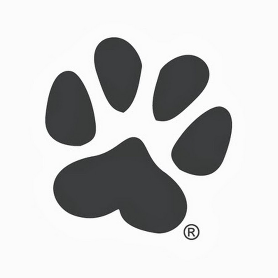 Canine Company رمز قناة اليوتيوب