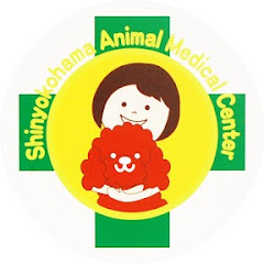 港北にっぱ動物病院チャンネル