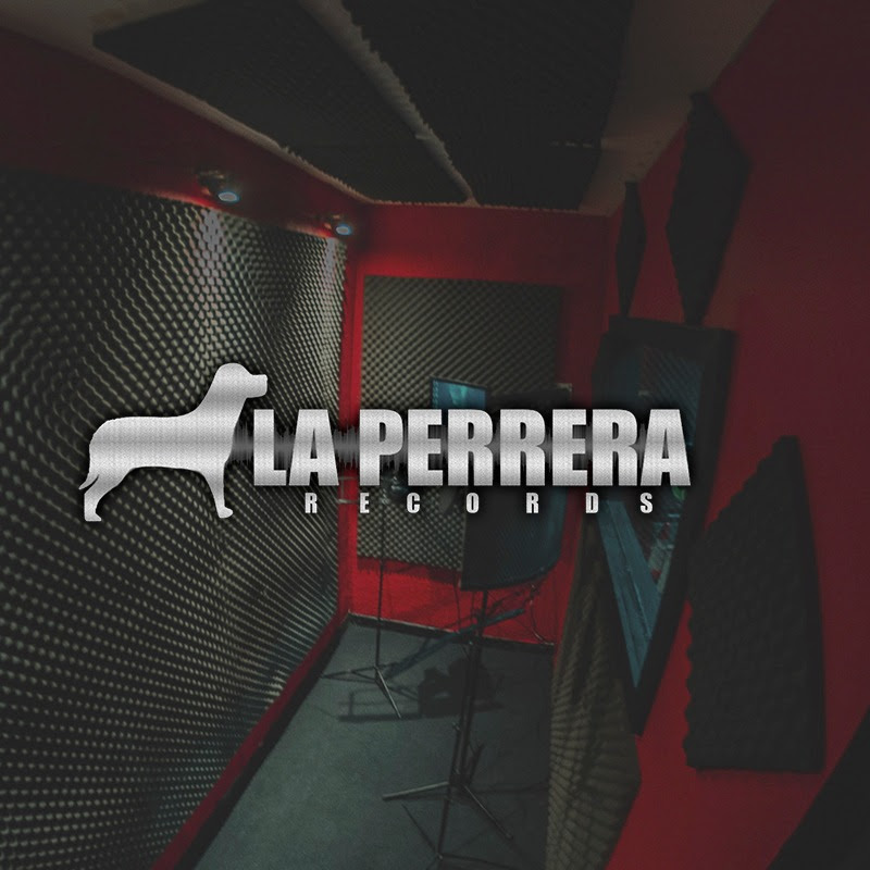 Profile Chikis Ra Oficial Wizdeo Analytics profile chikis ra oficial wizdeo