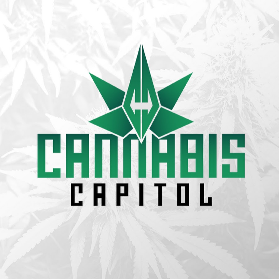 Cannabis Capitol यूट्यूब चैनल अवतार
