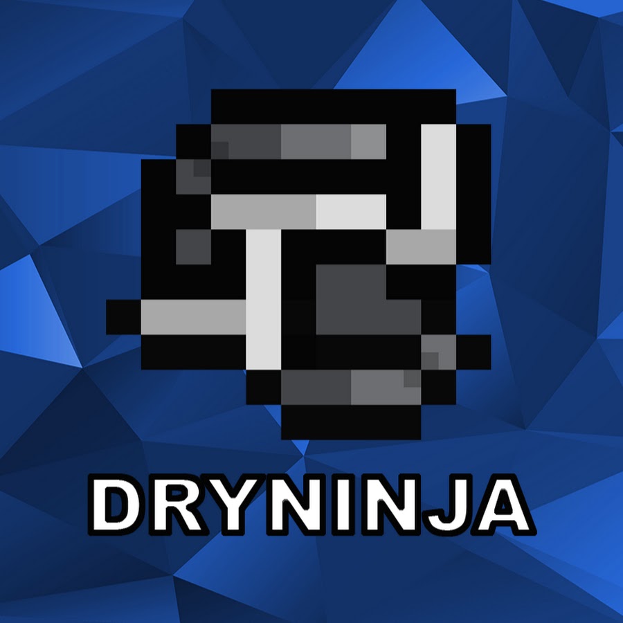 Dry Ninja YouTube channel avatar