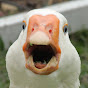 Dolan Darkest  YouTube Profile Photo