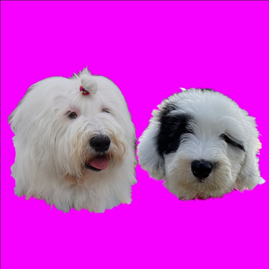 Ohana And Patra Youtube