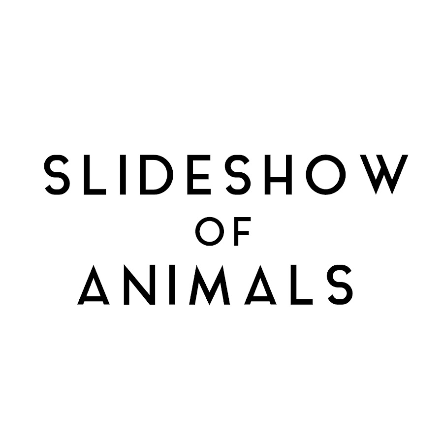 SlideShow ForFun YouTube channel avatar