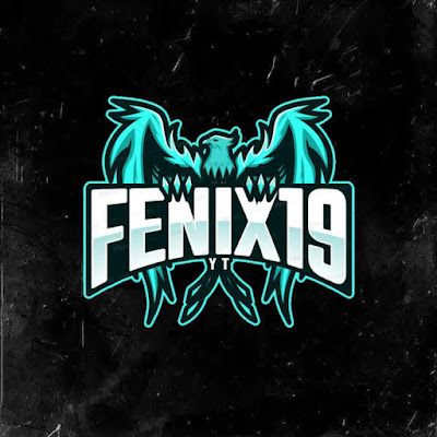 FENIX 19 Youtube канал