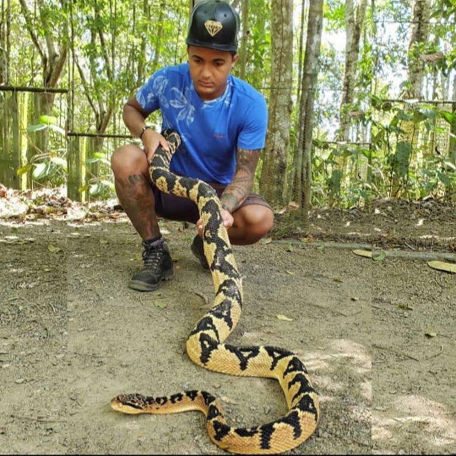 O Filho Do SertÃ£o