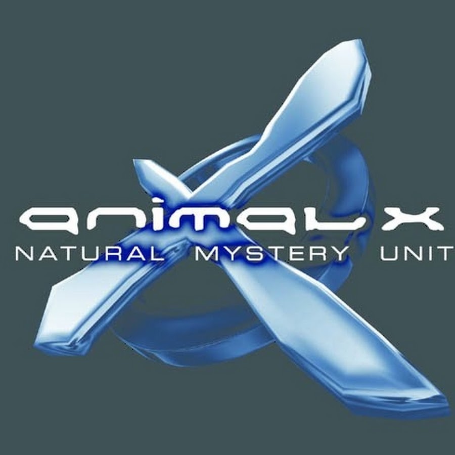 AnimalXTV YouTube channel avatar