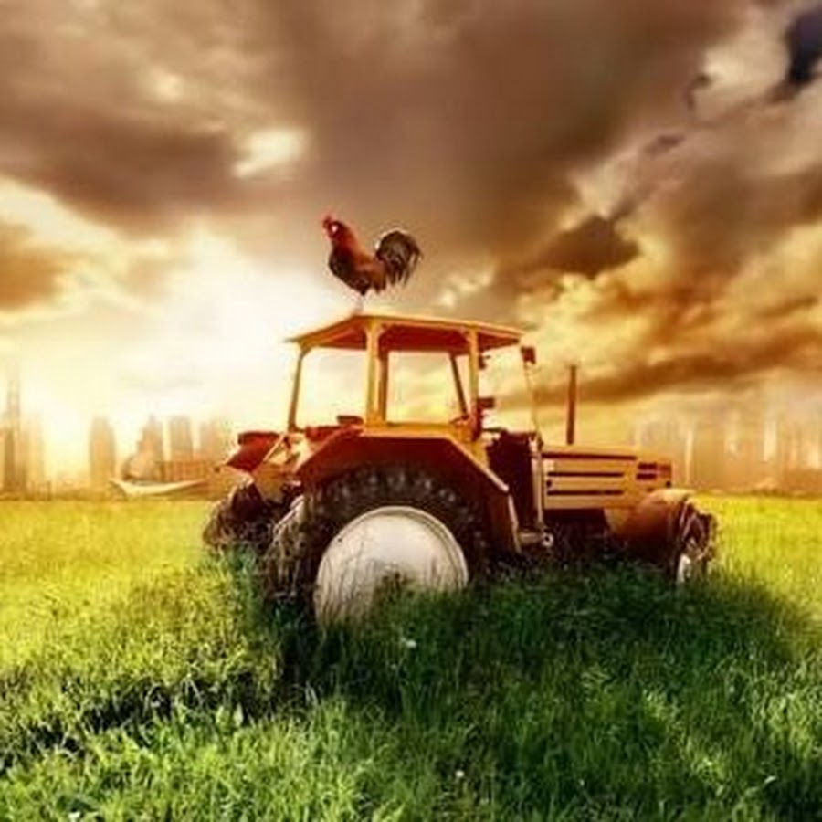 Youtube Farmer Avatar de chaîne YouTube
