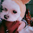 Jinhyeok lee