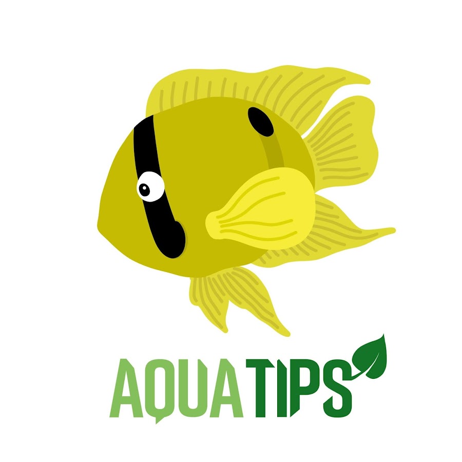 AquaTips यूट्यूब चैनल अवतार