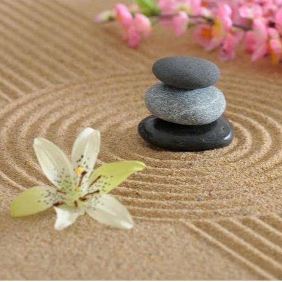 Zen Zen Интернет Магазин Фурнитура