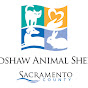 Bradshaw Animal Shelter Cats YouTube Profile Photo