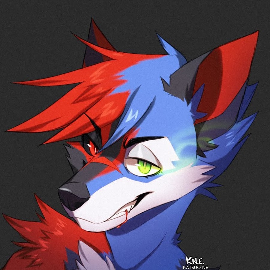 SonicFox5000 Avatar canale YouTube 
