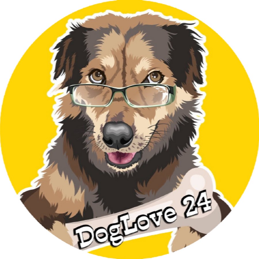 DogLove 24 YouTube channel avatar