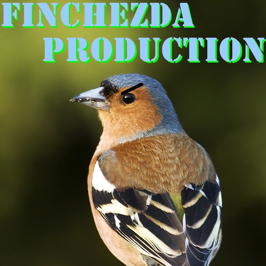 Finchezda Productions Awatar kanału YouTube