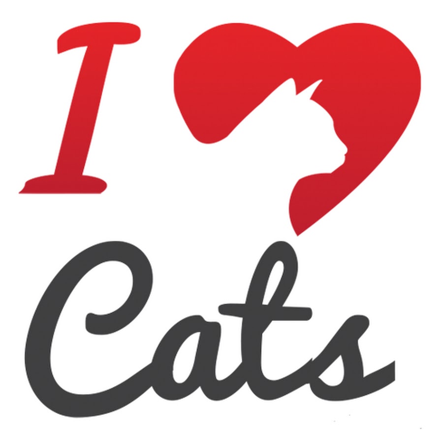 I Heart Cats Awatar kanału YouTube