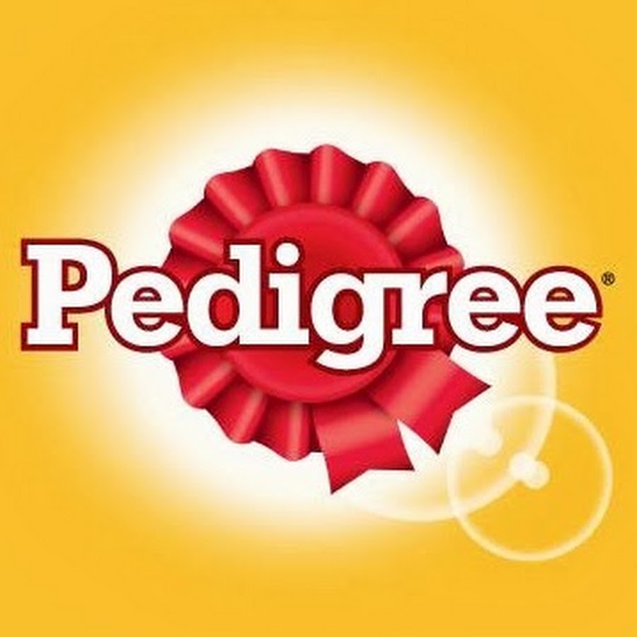 pedigreethailand YouTube channel avatar