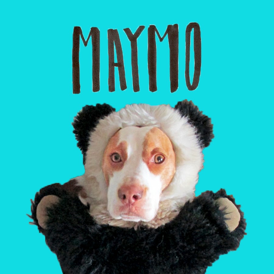 Maymo Avatar del canal de YouTube