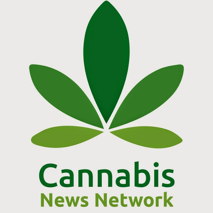Cannabis News Network Avatar canale YouTube 