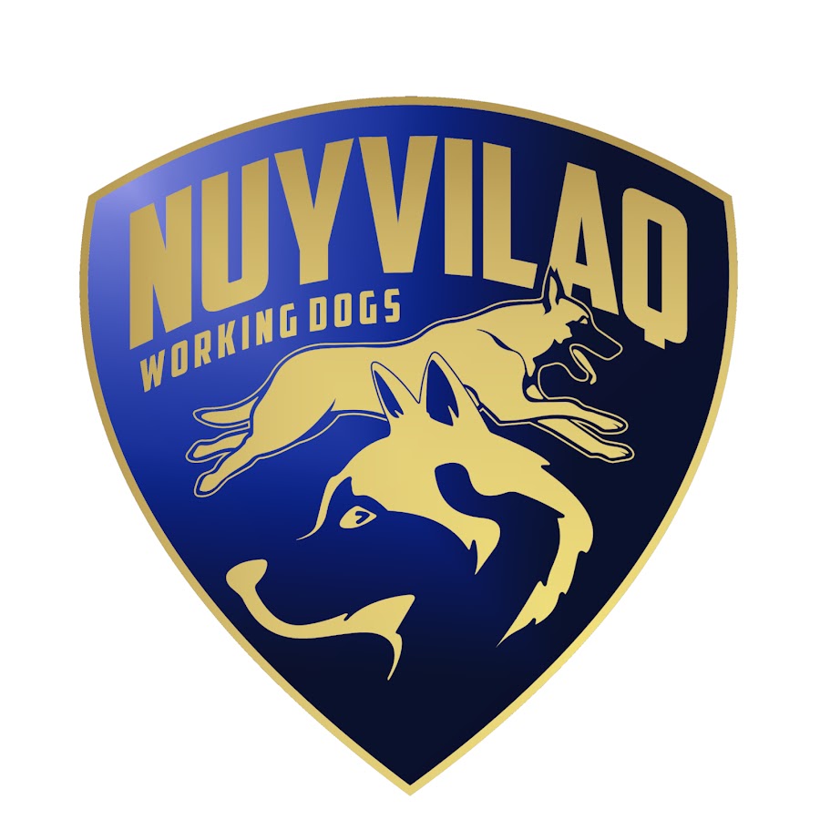 Nuyvilaq Working Dogs YouTube channel avatar