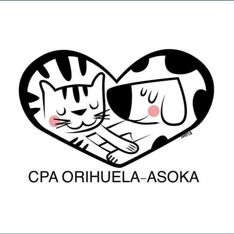 voluntarios asoka YouTube kanalı avatarı