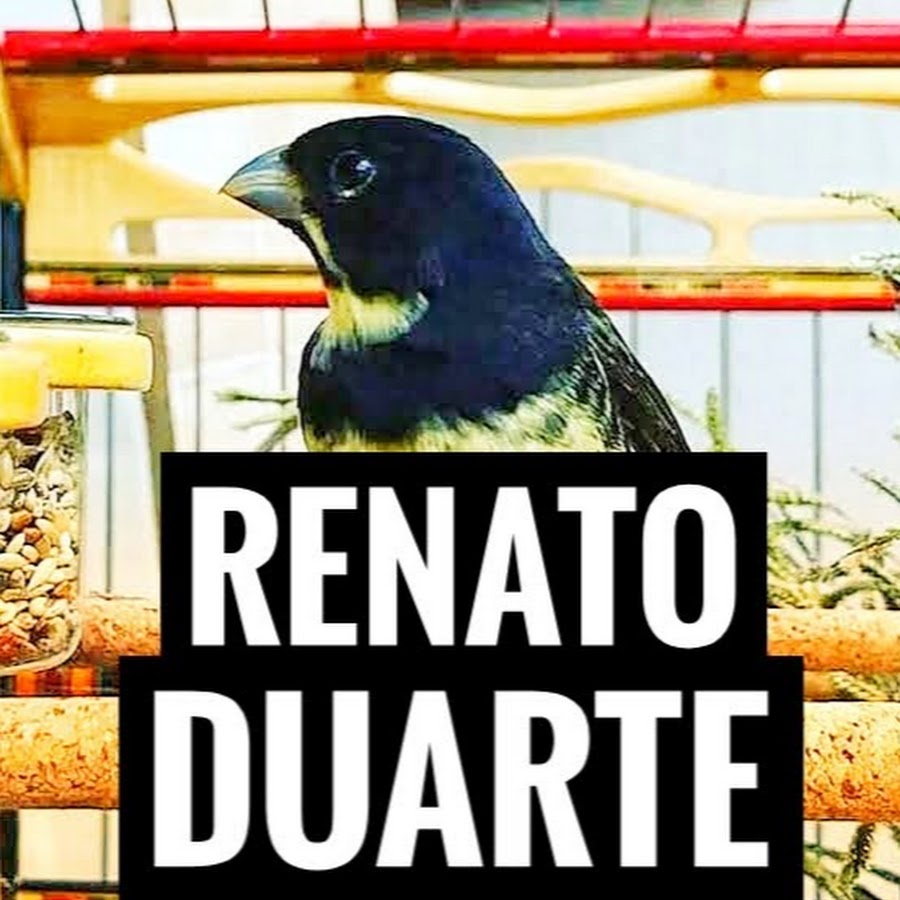 Renato Duarte YouTube channel avatar