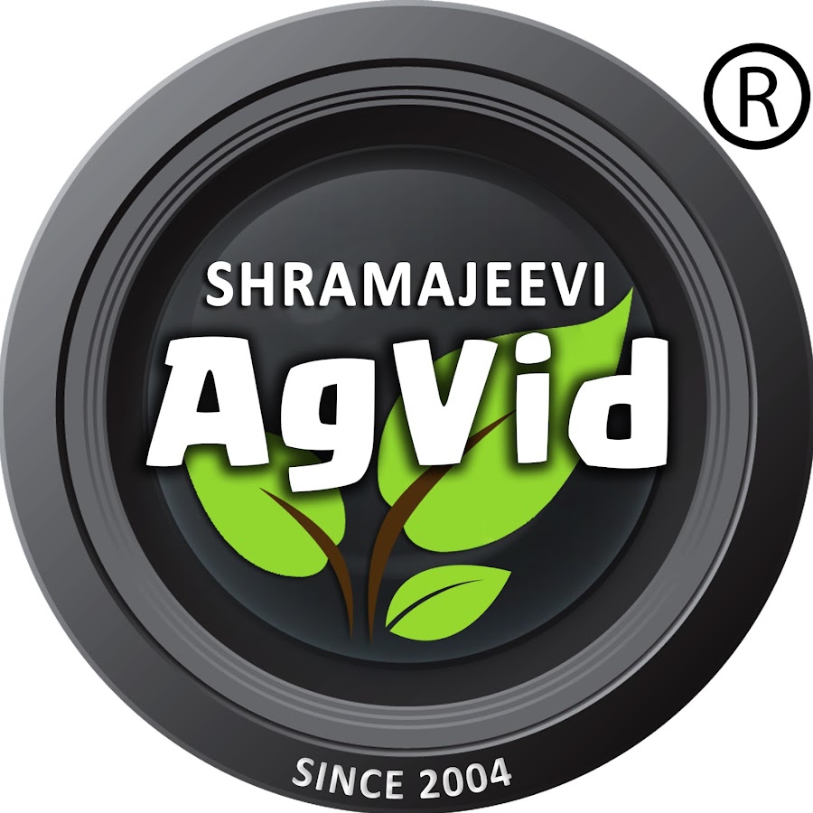 AgVid Avatar canale YouTube 