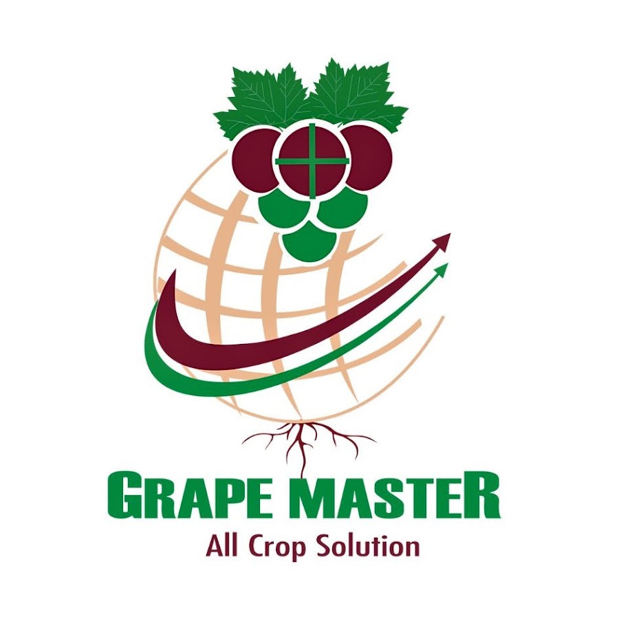 Grape Master YouTube channel avatar