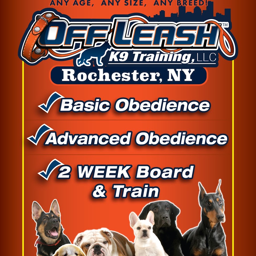 Off Leash K9 Training Rochester/Syracuse/Buffalo رمز قناة اليوتيوب