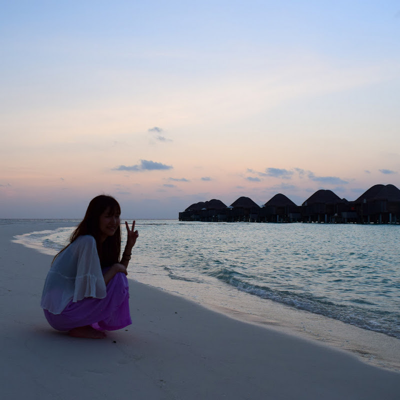 coco hal - 網紅的藏寶箱 