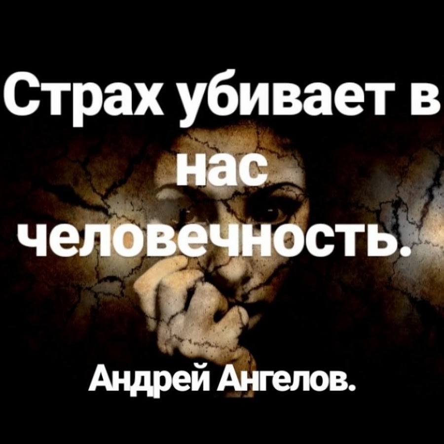 Я не должен бояться страх убивает разум. Я не должен бояться страх убивает разум. Страх убивает разум цитата. Кот пылесос страх. Кот пылесос страх убивает разум.