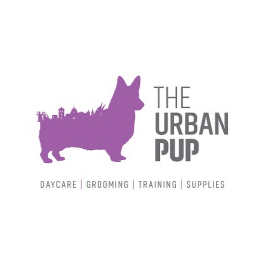The Urban Pup YouTube channel avatar