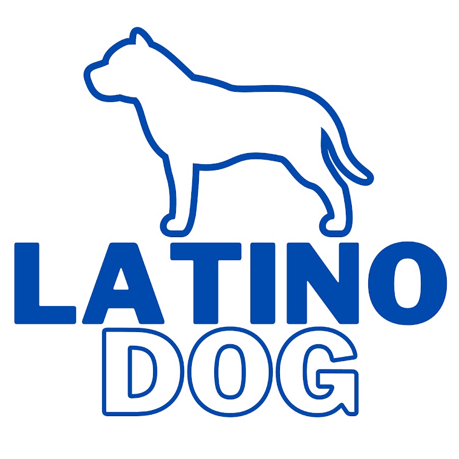Latino Dog رمز قناة اليوتيوب