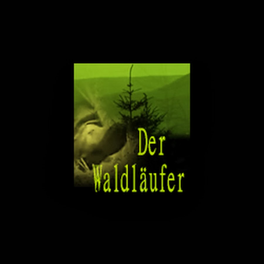 Der WaldlÃ¤ufer YouTube channel avatar