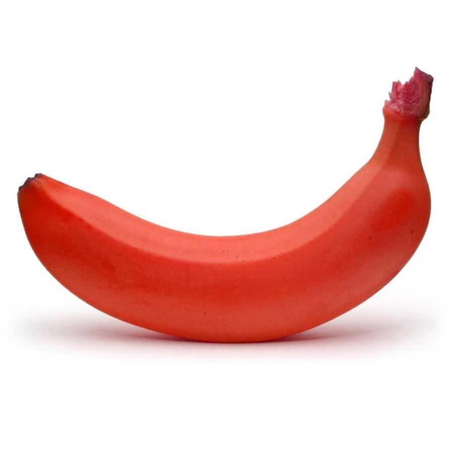 AAUvwnjC7RayPqbahVSAu3jOI00wQbFDZUIkvWZInI5Vmg=s900-c-k-c0x00ffffff-no-rj